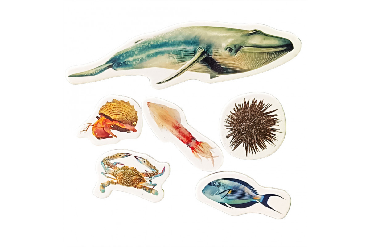 Дитячий набір магнітів "Мешканці морів та океанів" ML4032-27 в наборі 6 магнітів