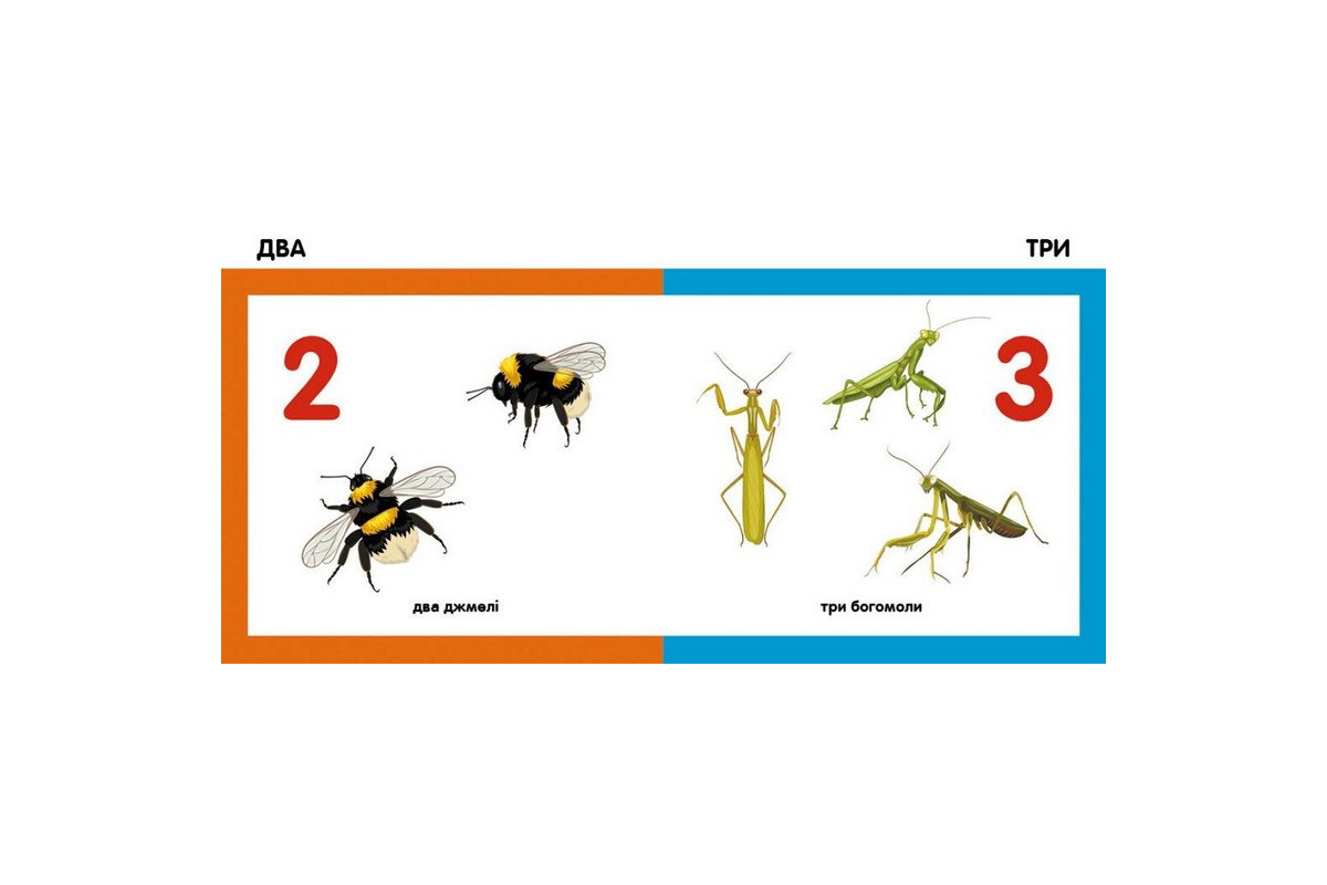 Дитяча смарт-книжечка "Лічимо комах" 944010, 24 сторінки