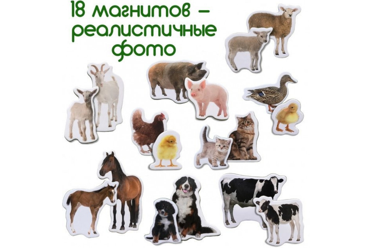 Набор магнитов Magdum "Ферма Мамы и малыши" ML4031-08 EN