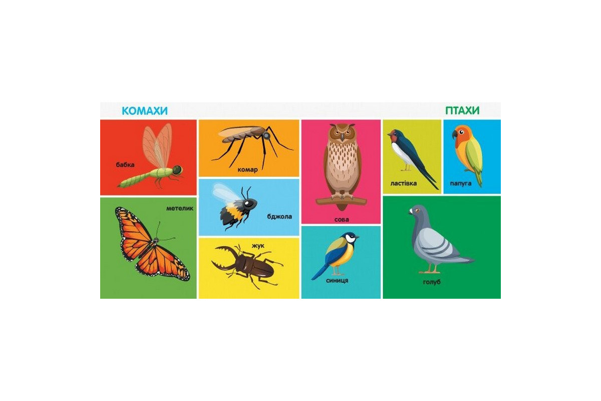 Детская смарт-книжечка "100 первых слов" 944002, 24 страницы