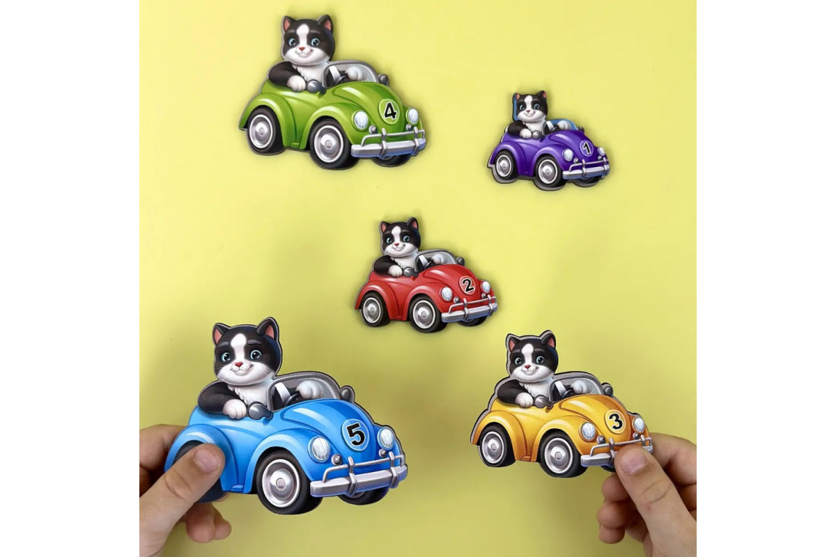 Деревянный детский сортер "Гонщики больше - меньше" (ПСД298) PSD298