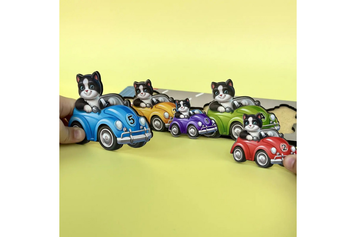 Деревянный детский сортер "Гонщики больше - меньше" (ПСД298) PSD298