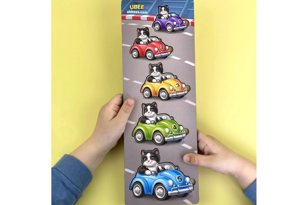 Деревянный детский сортер "Гонщики больше - меньше" (ПСД298) PSD298