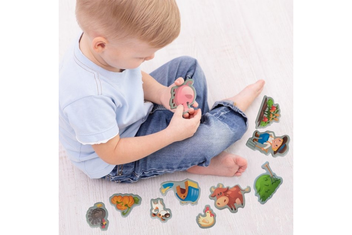 Набор магнитов Magdum "Веселая Ферма"  ML4031-10 EN