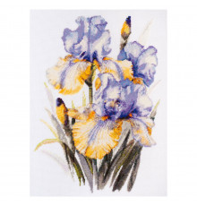 Набір для вишивання хрестиком "Іриси" AH-142 30х21 см