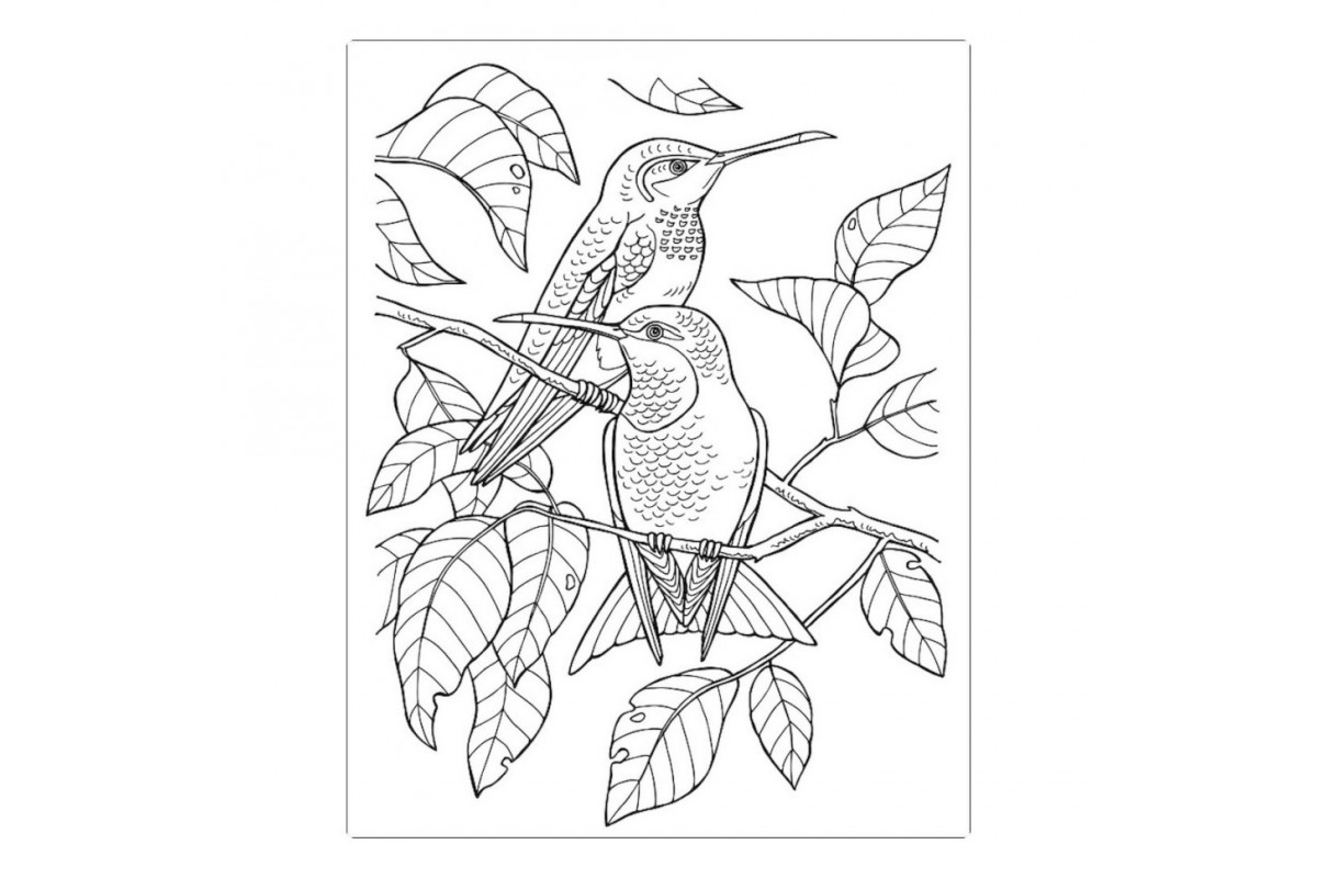 Велика книга розмальовок "Дівчата та квіти" 1736004, 64 сторінки