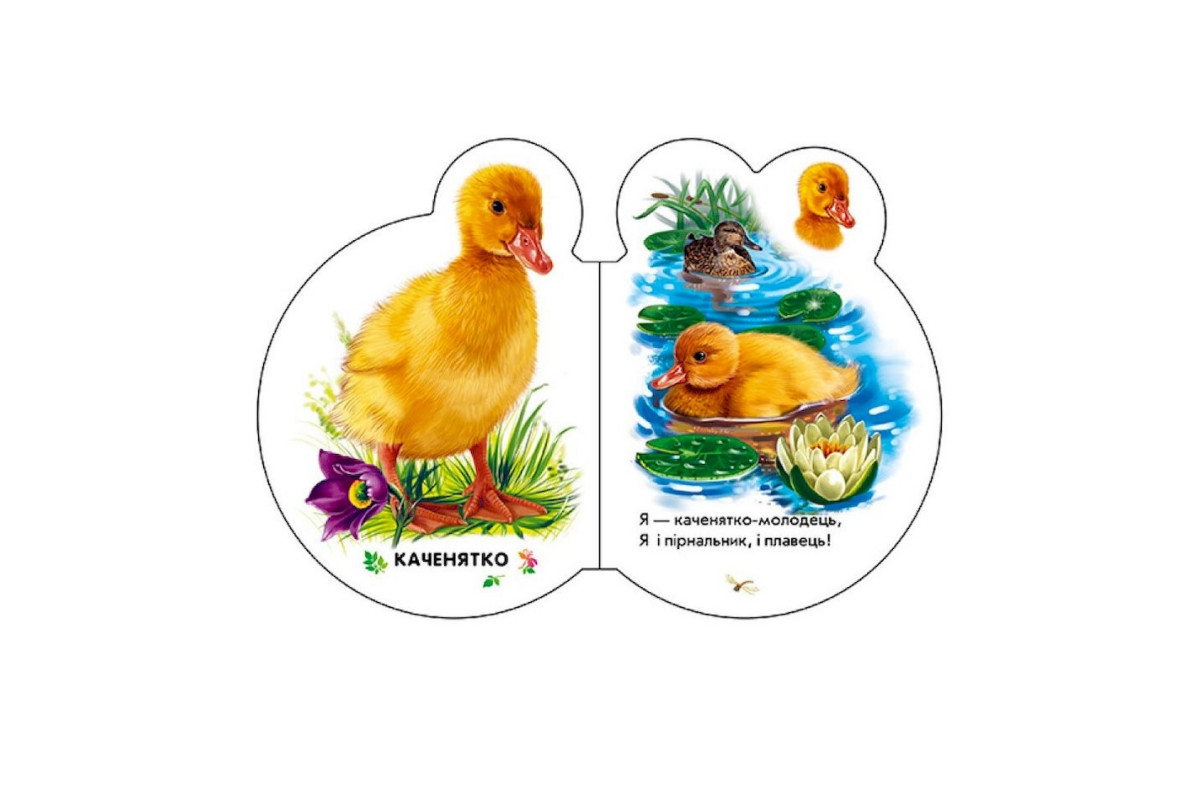 Картонная книжечка для самых маленьких Малыши : В селе 411016 аудио-бонус