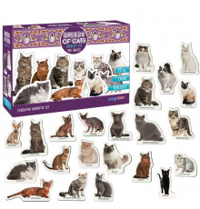 Набор магнитов Magdum "Породы кошек" ML4031-13 EN