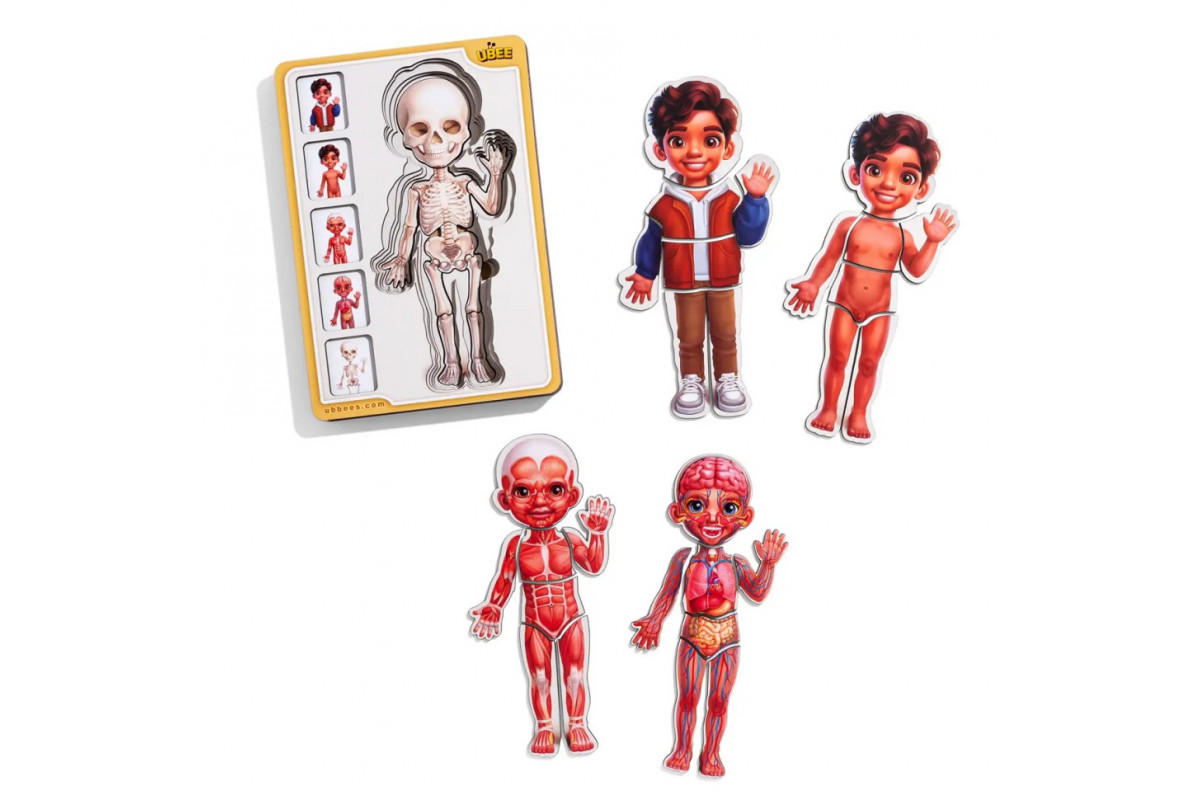 Деревянный пазл-вкладыш "Анатомия человека - мальчик-2" (ПСД261) PSD261 строение тела