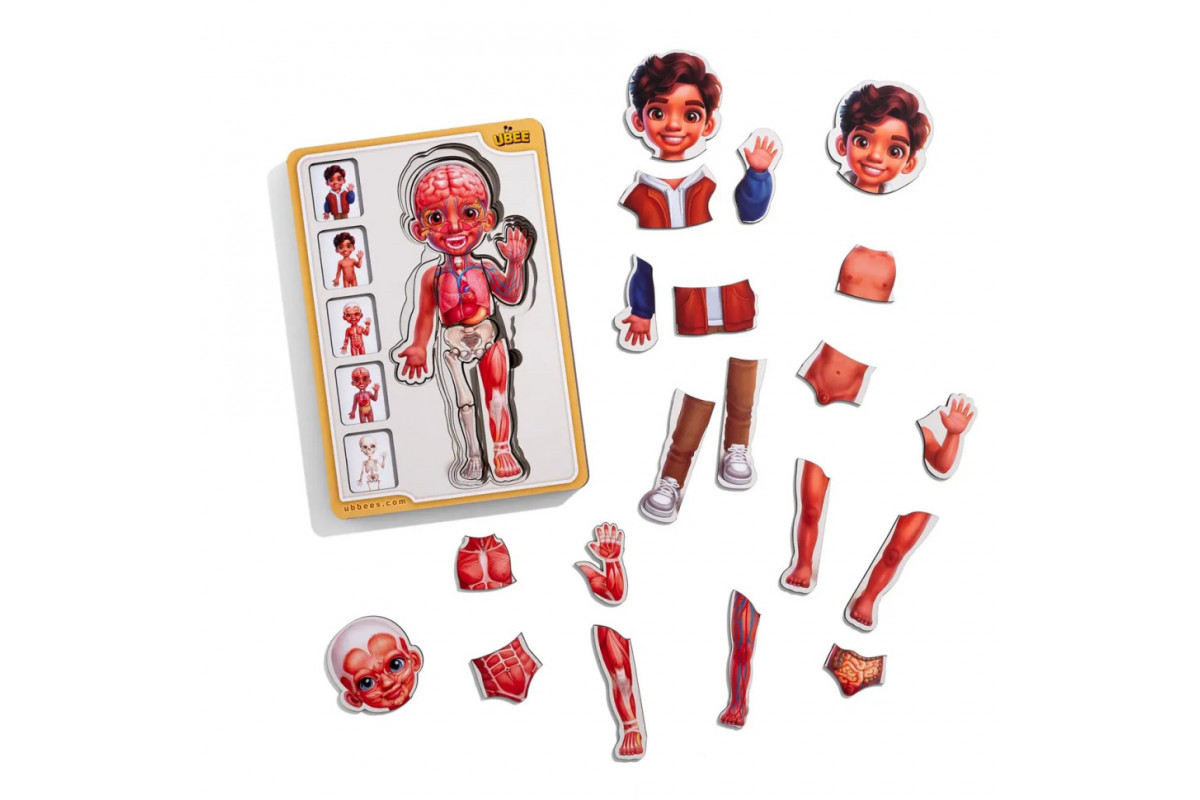 Деревянный пазл-вкладыш "Анатомия человека - мальчик-2" (ПСД261) PSD261 строение тела