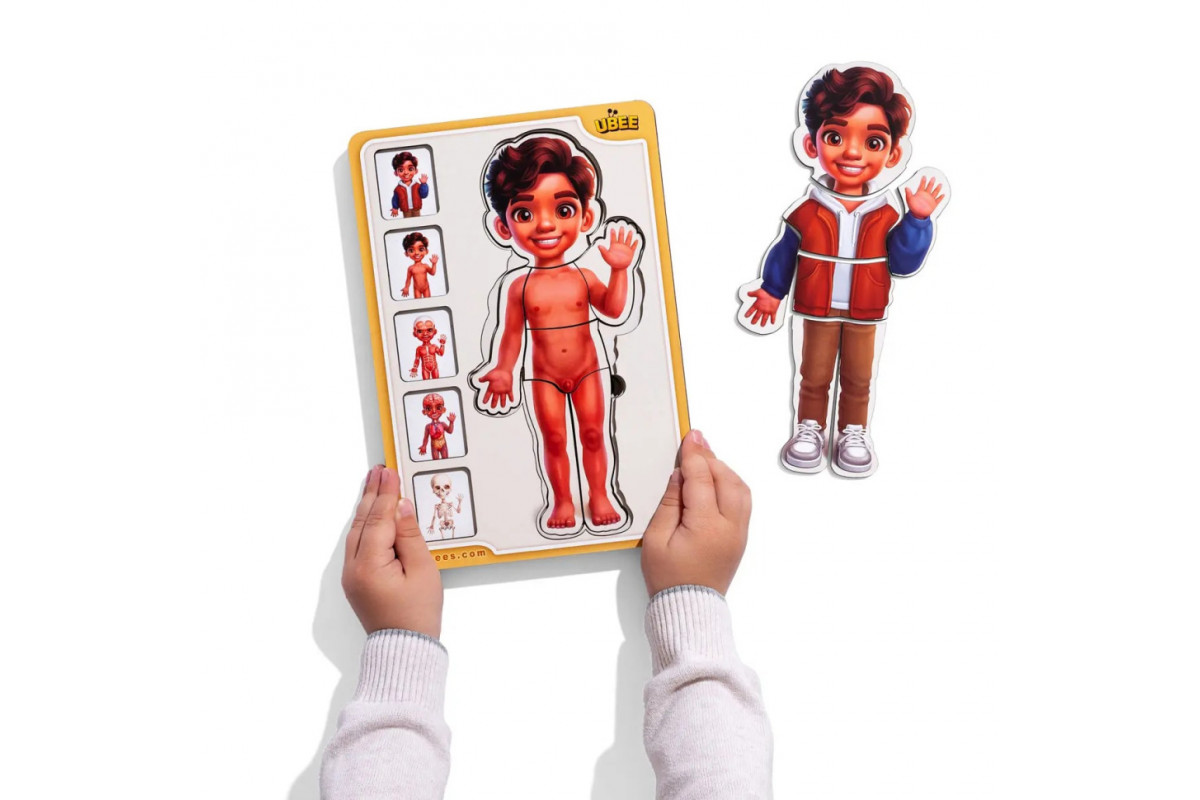 Деревянный пазл-вкладыш "Анатомия человека - мальчик-2" (ПСД261) PSD261 строение тела