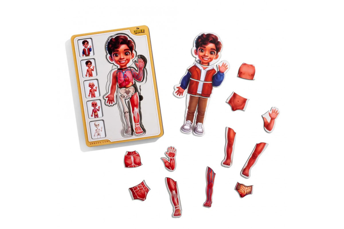 Деревянный пазл-вкладыш "Анатомия человека - мальчик-2" (ПСД261) PSD261 строение тела