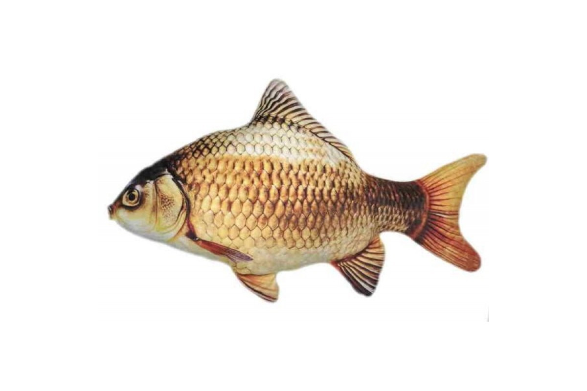 Детская мягконабивная игрушка "Карась" K-G-70, 70 см