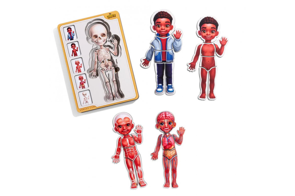 Дерев'яний пазл-вкладиш "Анатомія людини - хлопчик-3" (ПСД262) PSD262 будова тіла