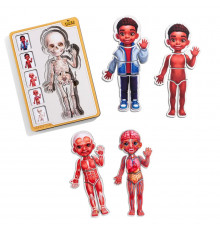 Деревянный пазл-вкладыш "Анатомия человека - мальчик-3" (ПСД262) PSD262 строение тела