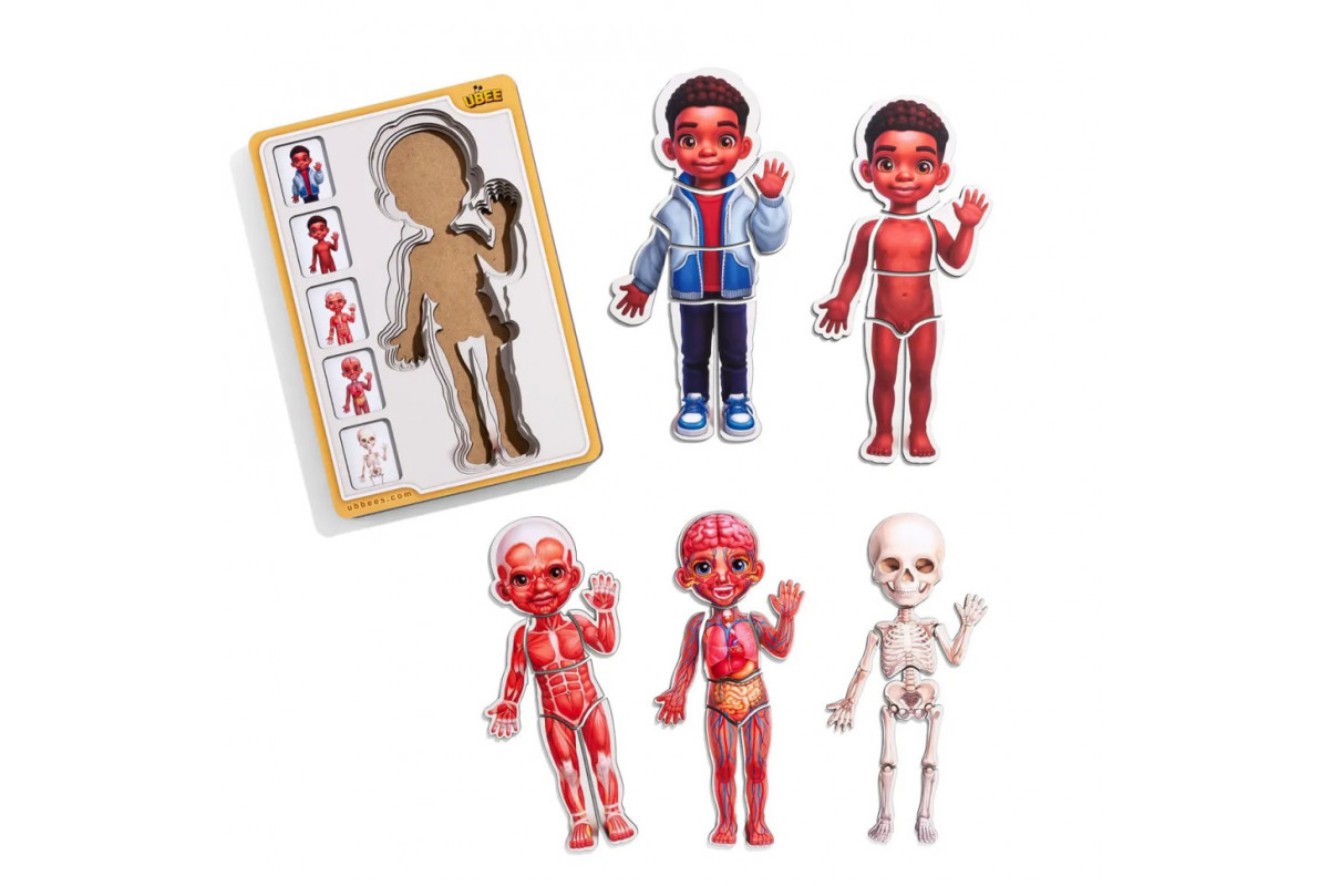 Дерев'яний пазл-вкладиш "Анатомія людини - хлопчик-3" (ПСД262) PSD262 будова тіла