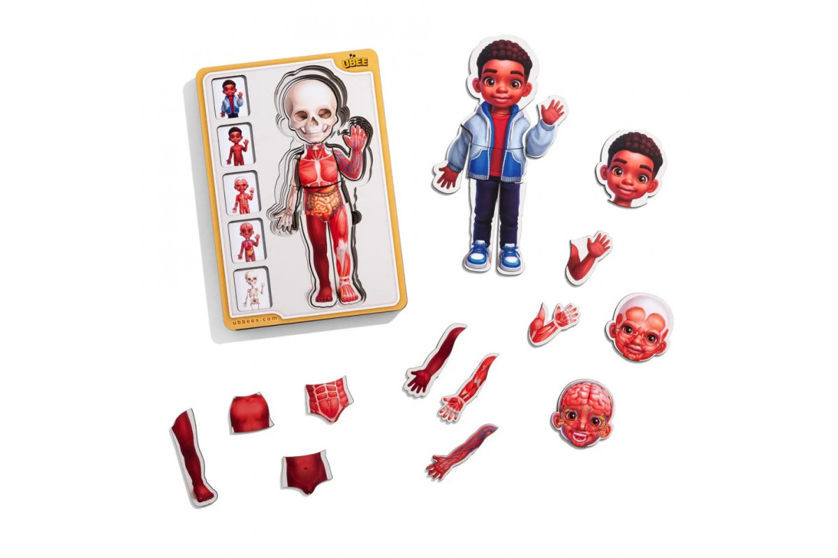 Дерев'яний пазл-вкладиш "Анатомія людини - хлопчик-3" (ПСД262) PSD262 будова тіла