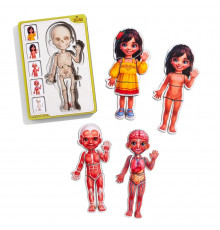 Деревянный пазл-вкладыш "Анатомия человека - девочка-2" (ПСД263) PSD263 строение тела