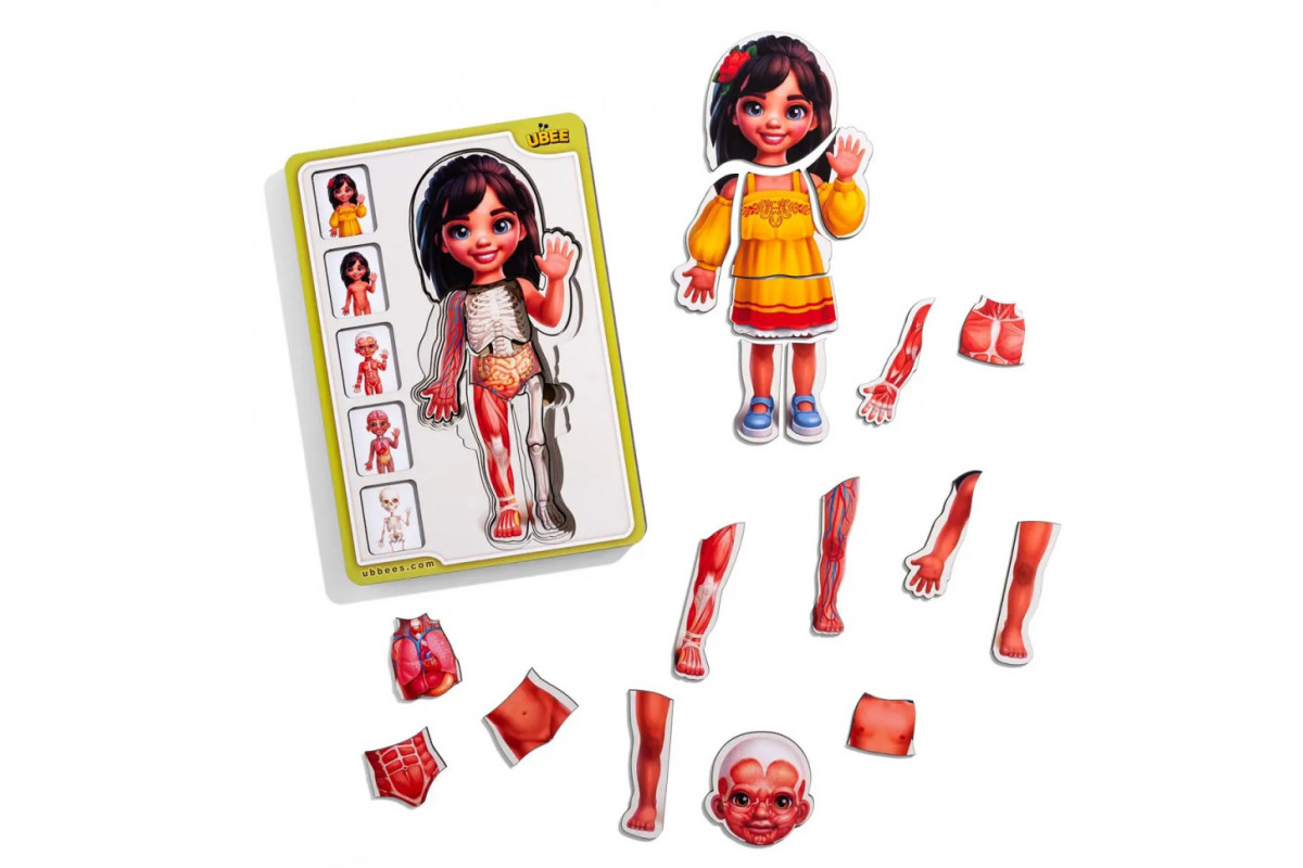 Дерев'яний пазл-вкладиш "Анатомія людини - дівчинка-2" (ПСД263) PSD263 будова тіла