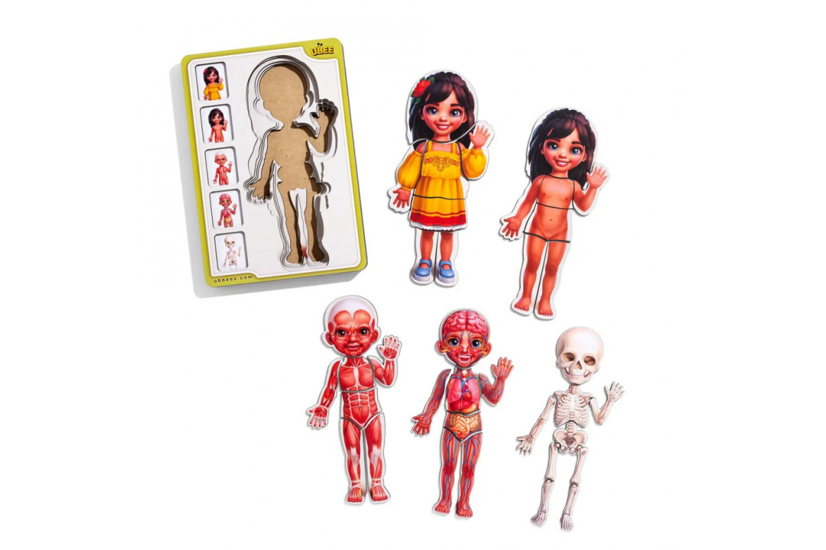 Дерев'яний пазл-вкладиш "Анатомія людини - дівчинка-2" (ПСД263) PSD263 будова тіла