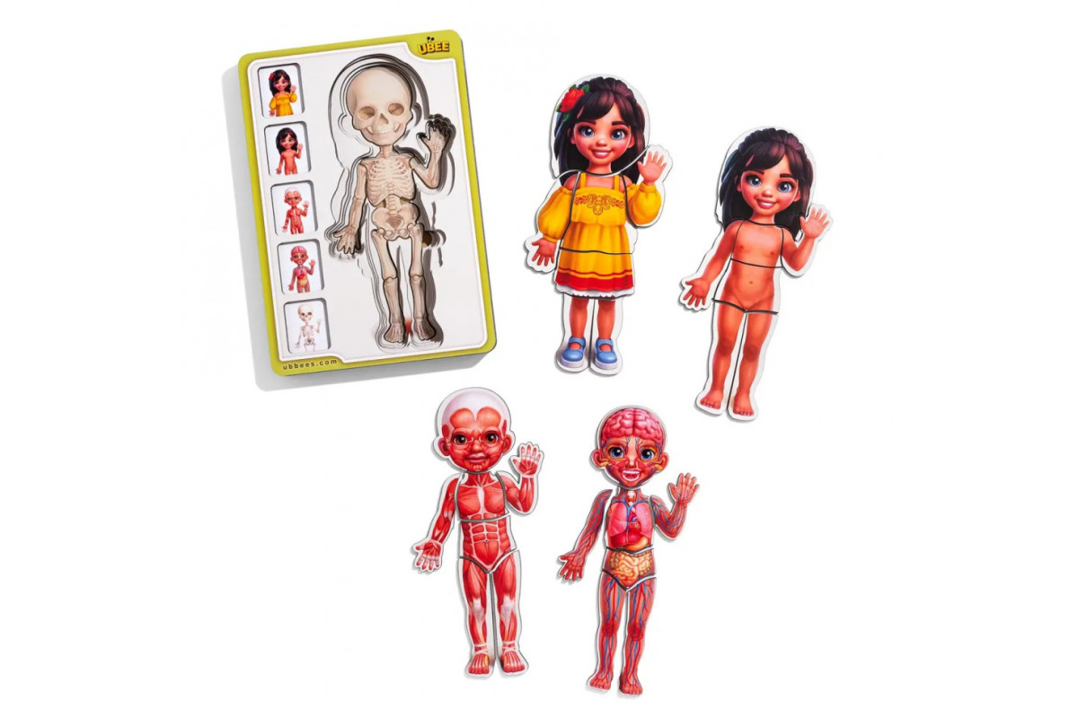 Дерев'яний пазл-вкладиш "Анатомія людини - дівчинка-2" (ПСД263) PSD263 будова тіла