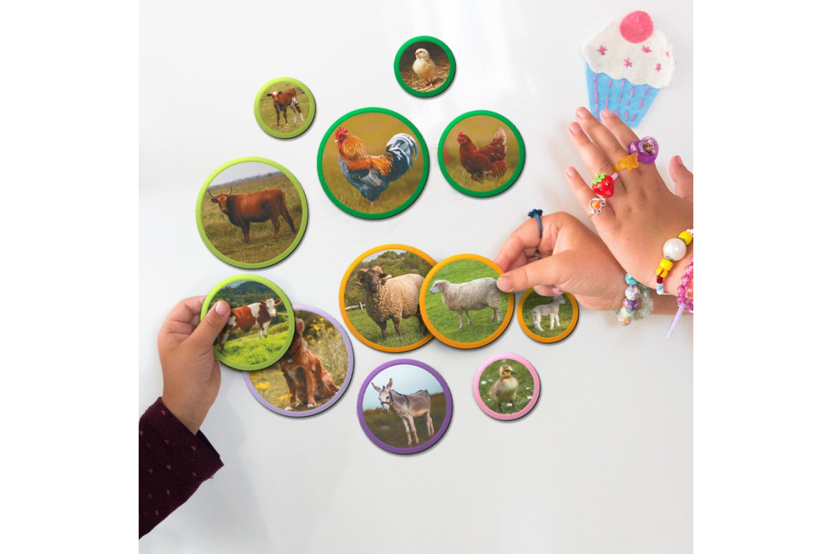 Детский магнитный набор Монтессори "Семьи животных: ферма" 200271, 36 элементов