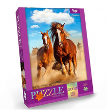 Пазл "Freedom" Danko Toys C2000-01-06, 2000 эл.