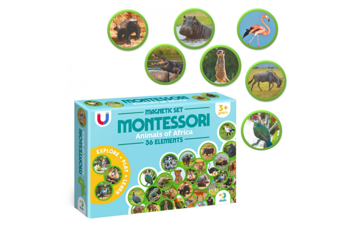 Детский магнитный набор Монтессори "Животные на континентах: Африка" 200284, 36 элементов