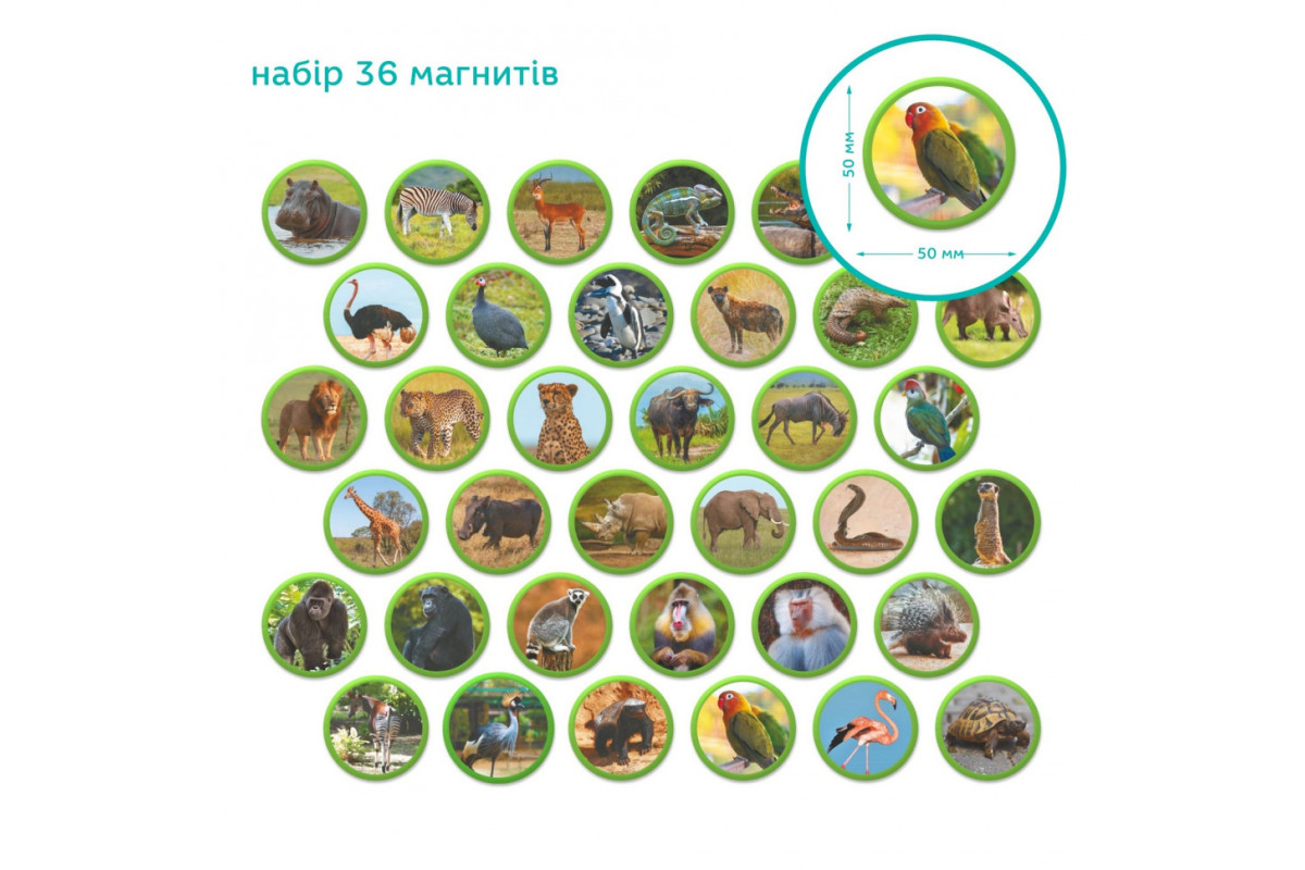 Детский магнитный набор Монтессори "Животные на континентах: Африка" 200284, 36 элементов