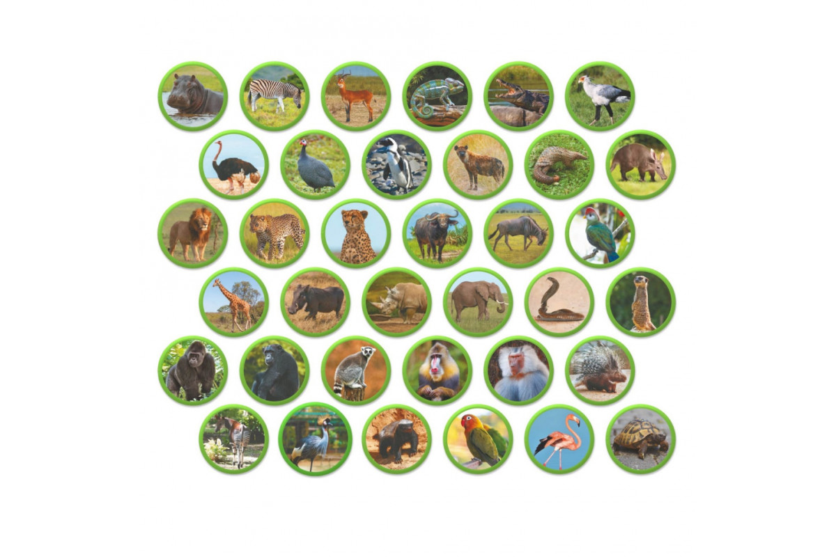 Детский магнитный набор Монтессори "Животные на континентах: Африка" 200284, 36 элементов