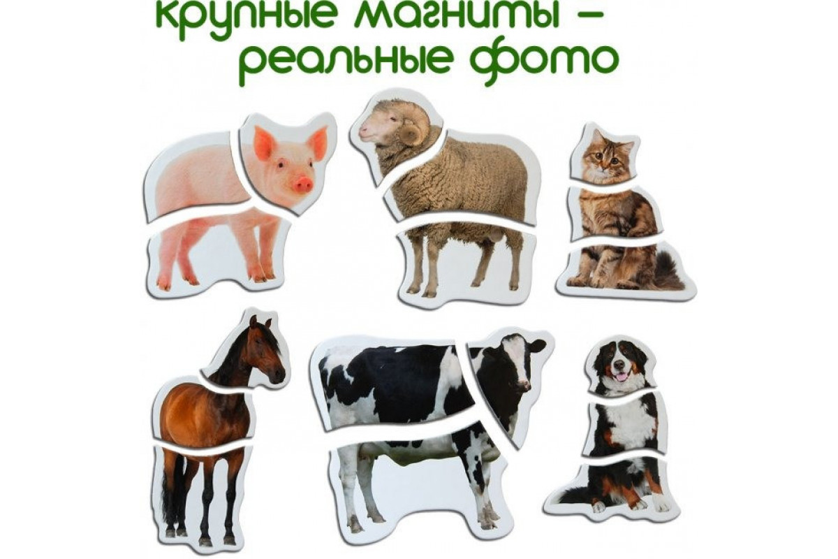 Магнитные пазлы Magdum  "Ферма" ML4031-19 EN