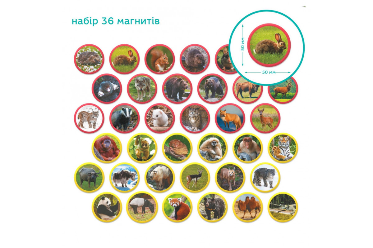 Детский магнитный набор Монтессори "Животные на континентах: Евразия" 200285, 36 элементов