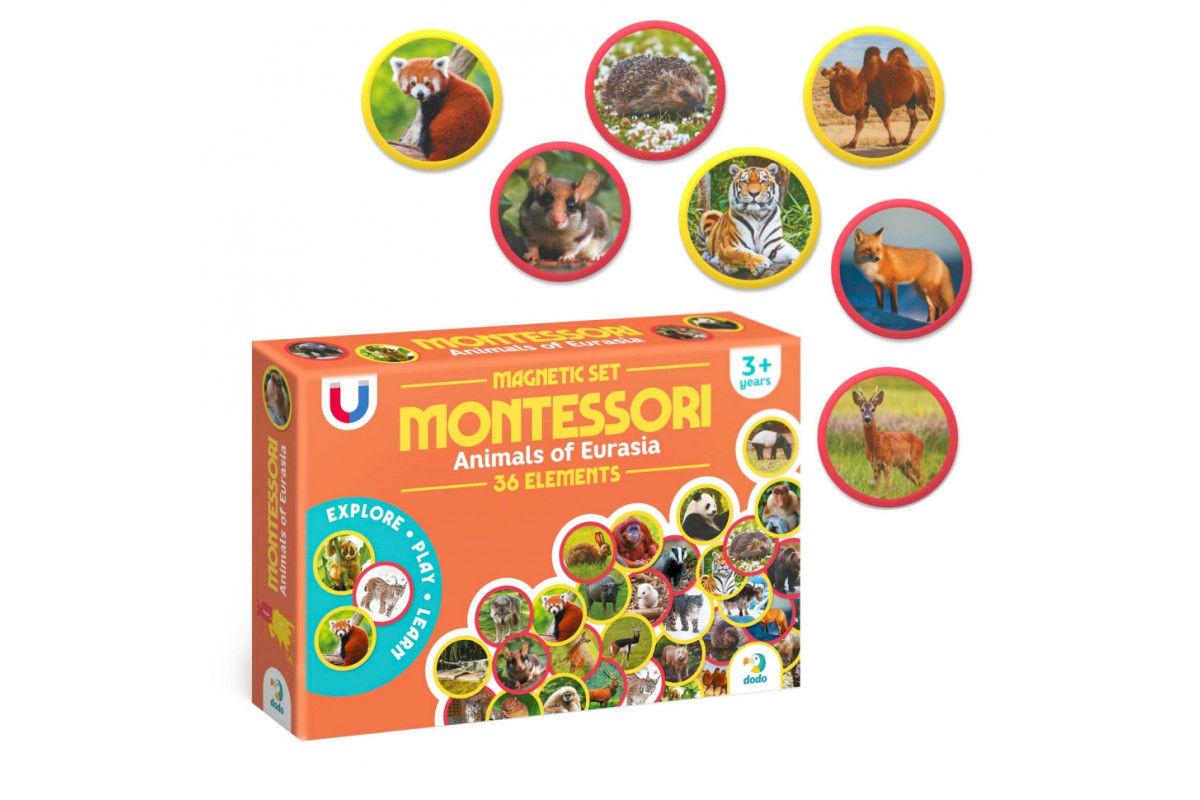 Детский магнитный набор Монтессори "Животные на континентах: Евразия" 200285, 36 элементов
