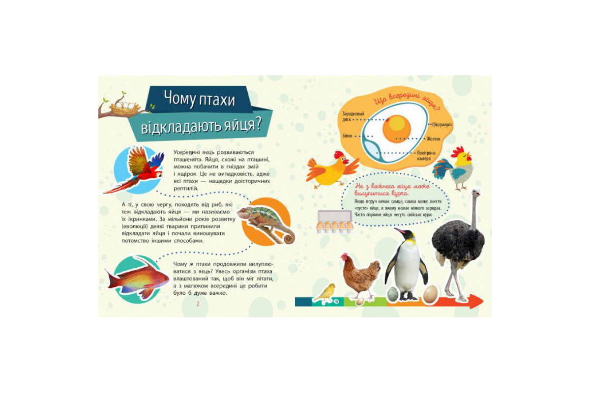 Обучающая книжка Почемучки "Животные" 875008 вопросы и ответы