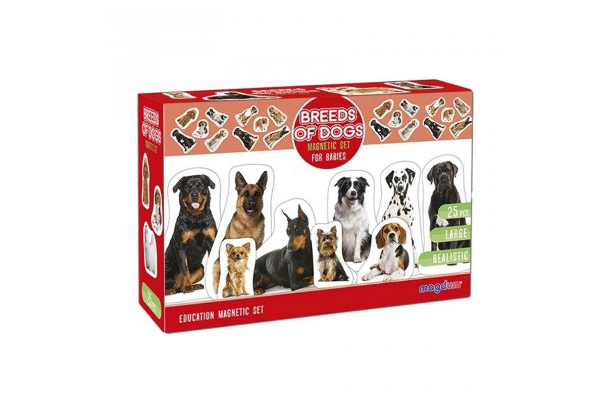 Дитячий розвиваючий набір магнітів "Породи собак" ML4031-20EN 24 фотомагніти