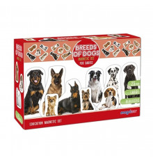 Детский развивающий набор магнитов "Породы собак" ML4031-20EN 24 фотомагниты