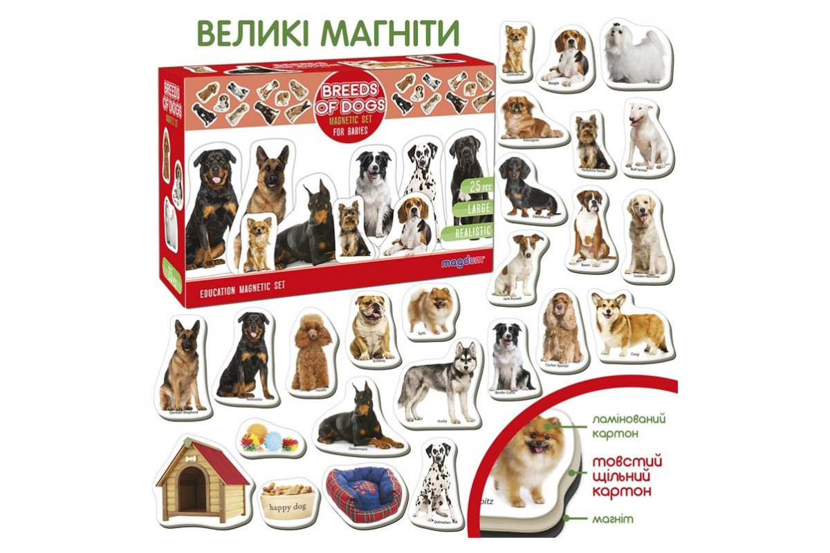 Дитячий розвиваючий набір магнітів "Породи собак" ML4031-20EN 24 фотомагніти