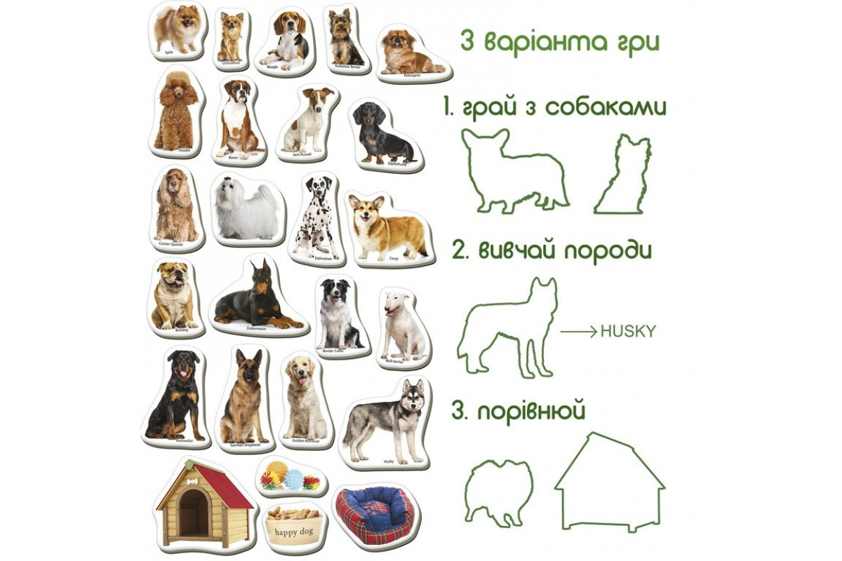 Дитячий розвиваючий набір магнітів "Породи собак" ML4031-20EN 24 фотомагніти