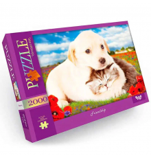 Пазл "Friendship" Danko Toys C2000-01-09, 2000 эл.