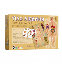Детская обучающая игра с многоразовыми наклейками "Тело человека" KP-004y на укр. языке