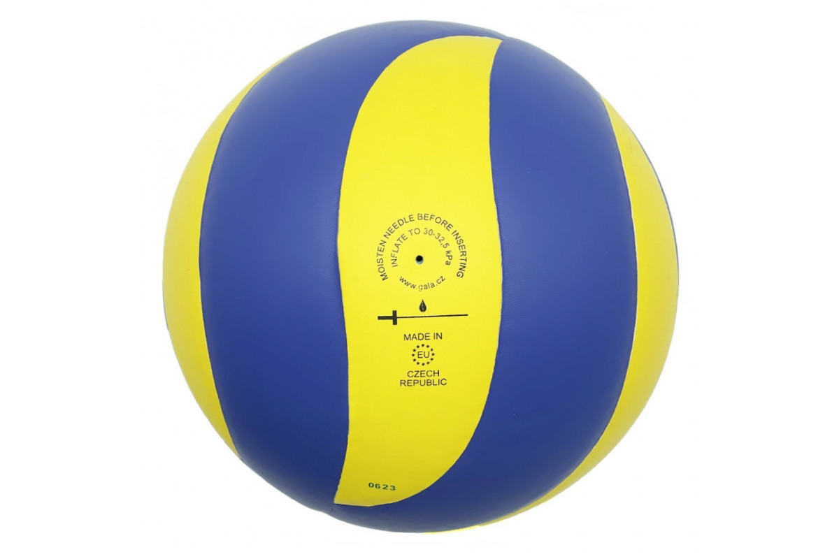 Мяч волейбольный тренировочный Mistral 10 NE-GALA-M10 № 5