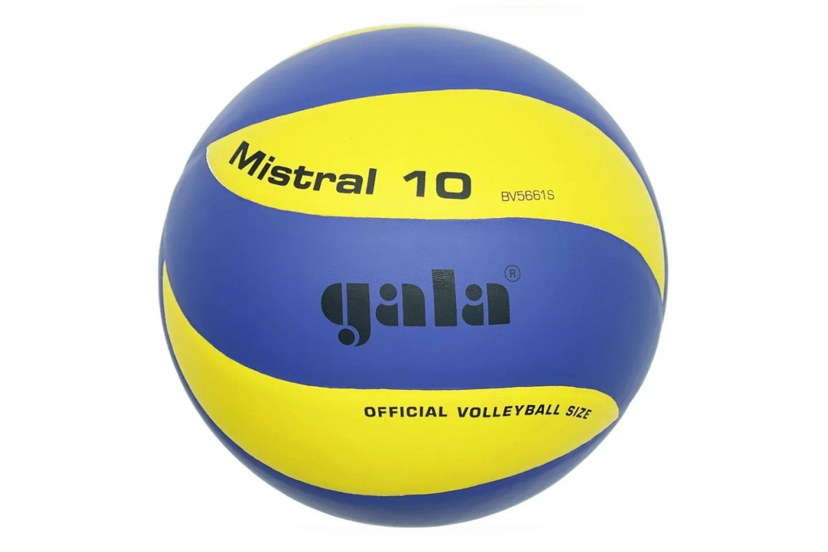 Мяч волейбольный тренировочный Mistral 10 NE-GALA-M10 № 5