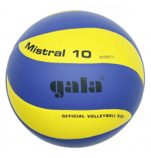 М'яч волейбольний тренувальний Mistral 10 NE-GALA-M10 № 5