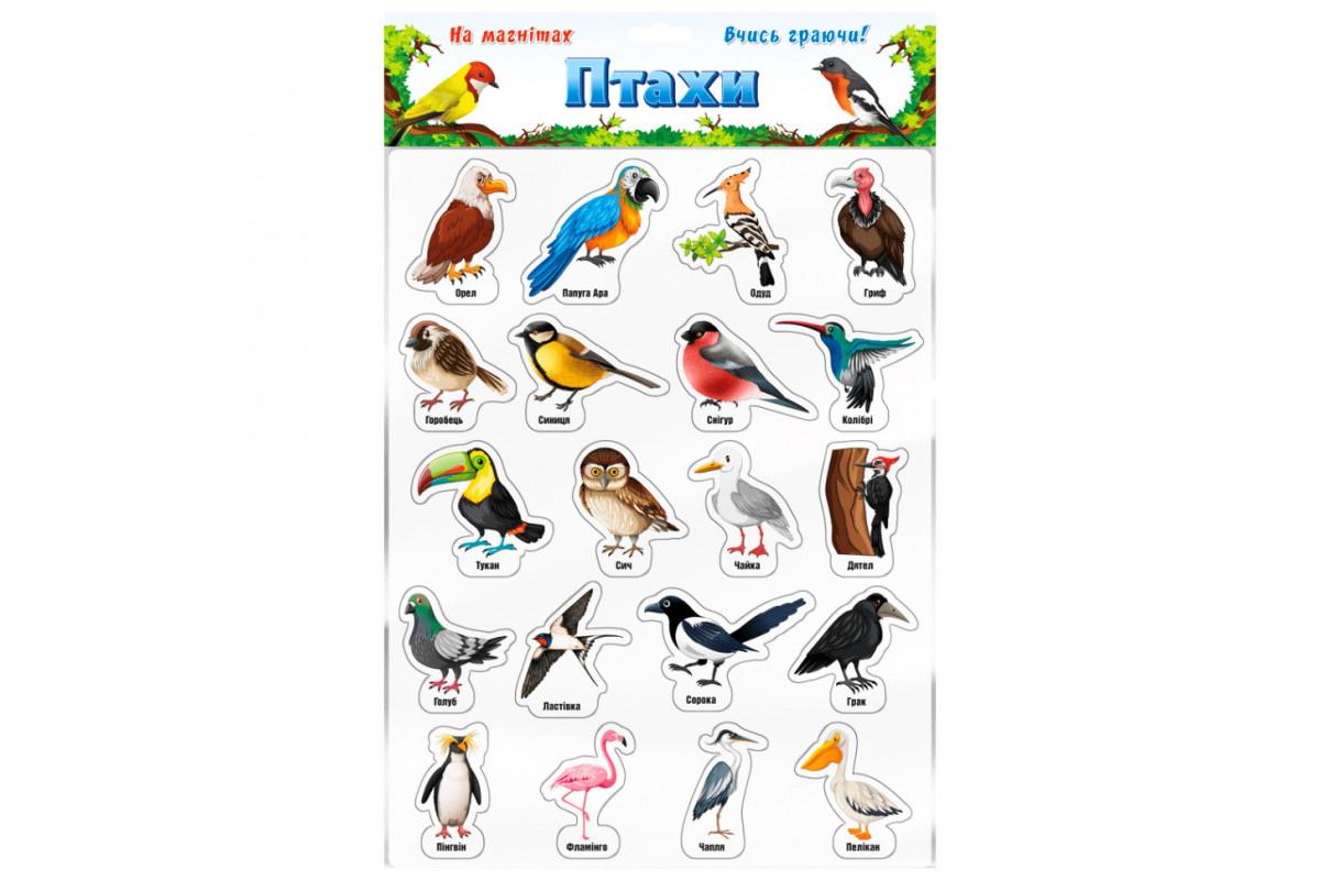 Набір магнітів "Птахи" 1311ATS