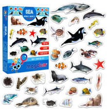 Детский набор магнитов Морские обитатели фото ML4031-28 EN