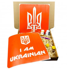 Набор для рисования по ткани «I Am Ukrainian, Тризуб» paint-n064-n059