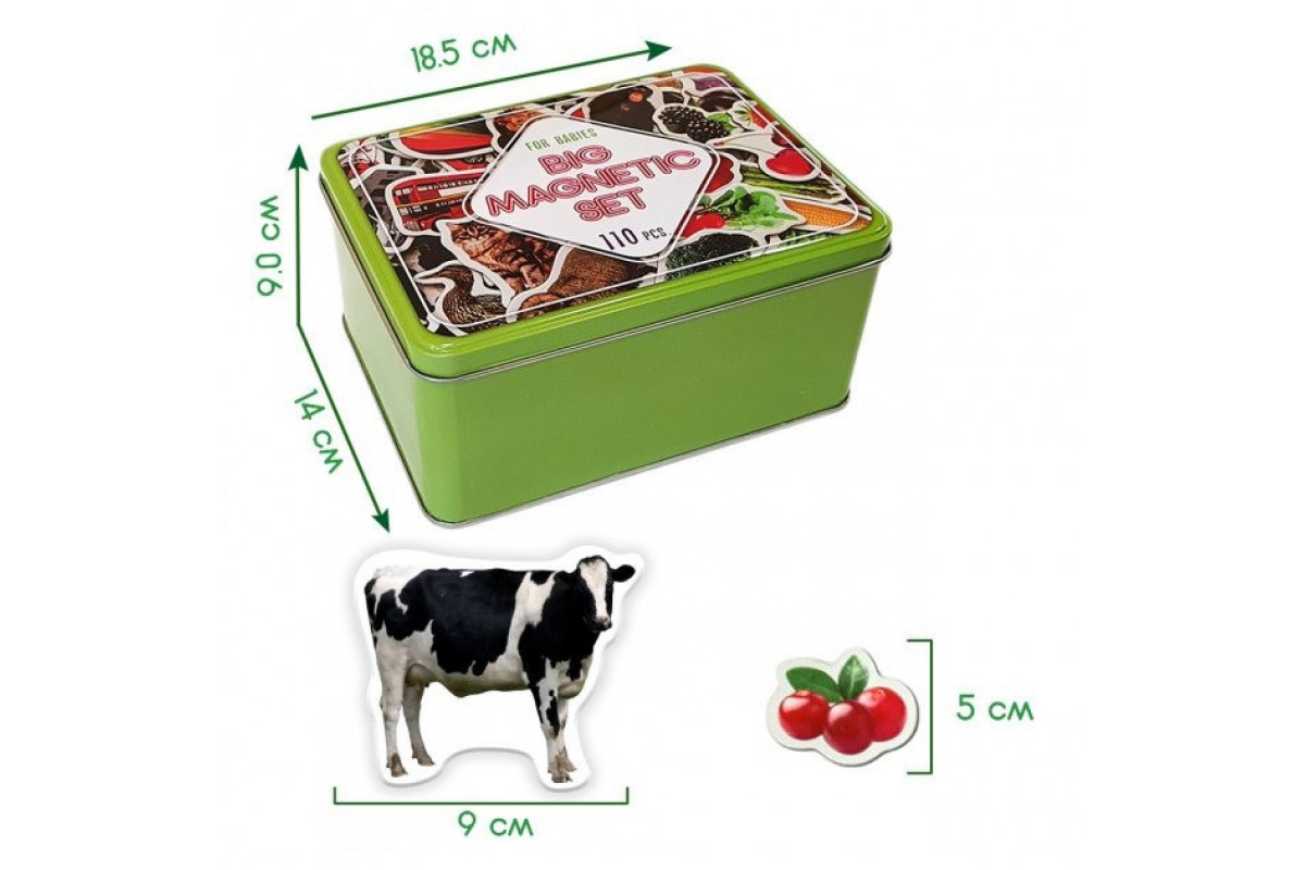 Набір магнітів Magdum Великий подарунковий набір 110 шт ML4031-63 EN