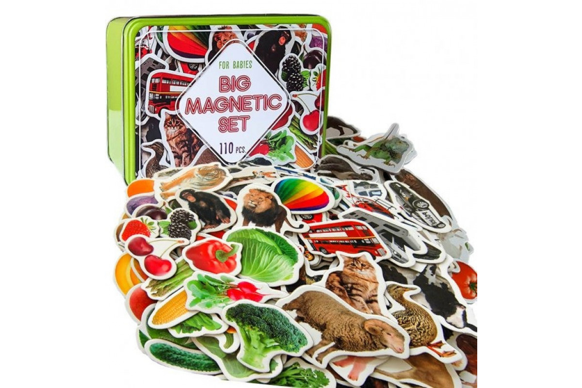 Набір магнітів Magdum Великий подарунковий набір 110 шт ML4031-63 EN