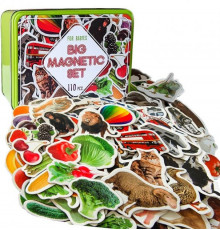 Набор магнитов Magdum "Большой подарочный набор" 110 шт ML4031-63 EN