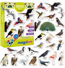 Детский набор магнитов Птицы фото Magdum ML4031-30 EN